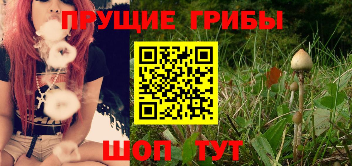 Лангепас  Псилоцибиновые грибы GOLDEN TEACHER  Вход с VPN 
