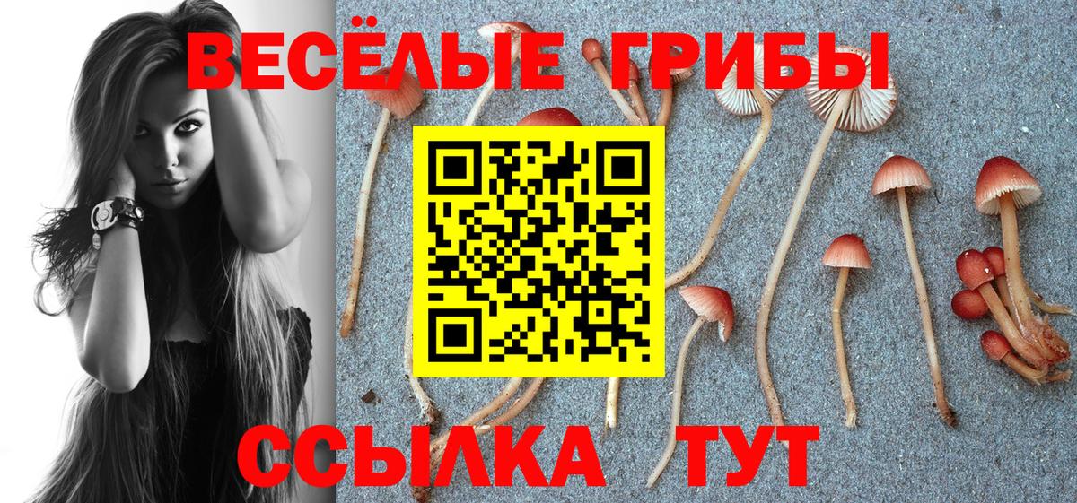 Галлюциногенные грибы мицелий Лангепас